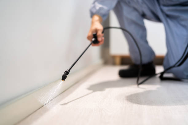 Licensed Termite Control service in Lyman, MS - Nex Pest Control