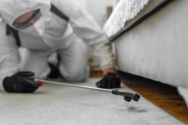 Professional Termite Control technician working in Lyman, MS