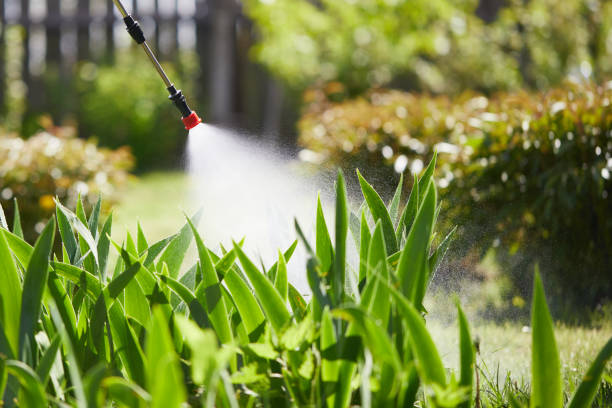 24/7 Emergency Termite Control experts in Lyman, MS